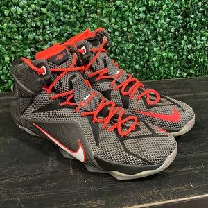 lebron 12 shoes price